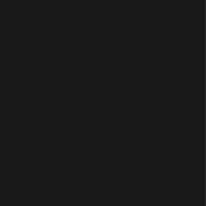 Pure Black 600X1200