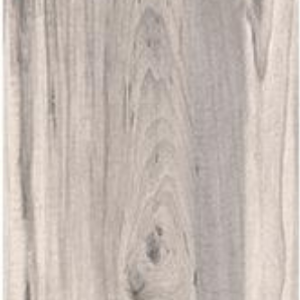 Forest Sand 200X1200